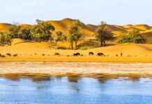 2024 Marks the End of a Decade of Record Heat – EcoWatch 2024-marks-the-end-of-a-decade-of-record-heat-ecowatch