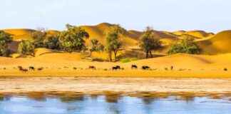 2024 Marks the End of a Decade of Record Heat – EcoWatch 2024-marks-the-end-of-a-decade-of-record-heat-ecowatch