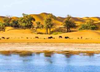 2024 Marks the End of a Decade of Record Heat – EcoWatch 2024-marks-the-end-of-a-decade-of-record-heat-ecowatch