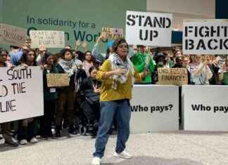 Adoption of Carbon Market Rules at COP29: Finance Talks Delayed – Day 12 Bulletin adoption-of-carbon-market-rules-at-cop29-finance-talks-delayed-day-12-bulletin