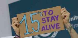 Ambition and Honesty: Climate Home Readers’ Desires for 2025 ambition-and-honesty-climate-home-readers-desires-for-2025
