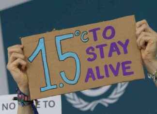 Ambition and Honesty: Climate Home Readers’ Desires for 2025 ambition-and-honesty-climate-home-readers-desires-for-2025