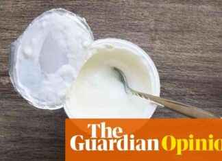 Bring Back Plastic Lids on Yoghurt Pots: A Plea to Santa | Adrian Chiles bring-back-plastic-lids-on-yoghurt-pots-a-plea-to-santa-adrian-chiles
