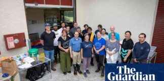 Exploring the Unique Features of the World’s Rarest Whale in Stunning Images exploring-the-unique-features-of-the-worlds-rarest-whale-in-stunning-mages