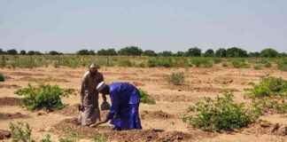 Global Impact: 75% of Earth’s Land Drying Out, Changing Life as We Know It global-mpact-75-of-earths-land-drying-out-changing-life-as-we-know-t