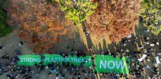 Global Talks Begin in Busan to Address UN Plastic Pollution Treaty global-talks-begin-in-busan-to-address-un-plastic-pollution-treaty