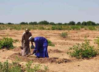 Redefining Life on Earth: Three-Quarters of Land Drying Out redefining-life-on-earth-three-quarters-of-land-drying-out