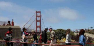 reviving-americas-walkability-nsights-from-a-study-of-11000-twins