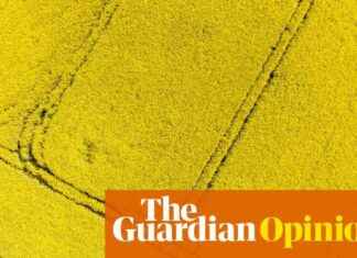 The Changing Odds of Farming: Risks and Challenges in Agriculture the-changing-odds-of-farming-risks-and-challenges-in-agriculture