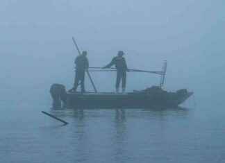 The Decline of Oysters in Mobile Bay: A Story of Environmental Impact – Inside Climate News the-decline-of-oysters-in-mobile-bay-a-story-of-environmental-mpact-nside-climate-news