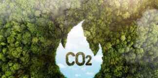 Top Cleantech Startups to Keep an Eye on in 2025 top-cleantech-startups-to-keep-an-eye-on-in-2025