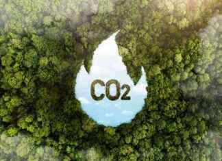 Top Cleantech Startups to Keep an Eye on in 2025 top-cleantech-startups-to-keep-an-eye-on-in-2025