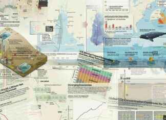 Visualizing Climate Change in 2024: Graphics and Insights – Inside Climate News visualizing-climate-change-in-2024-graphics-and-nsights-nside-climate-news
