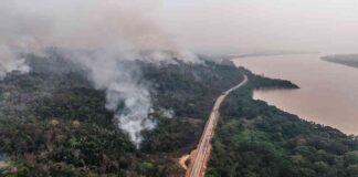 amazon-deforestation-decrease-degradation-soars-2024-report-ecowatch
