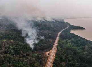 Amazon Deforestation Decrease, Degradation Soars: 2024 Report – EcoWatch amazon-deforestation-decrease-degradation-soars-2024-report-ecowatch