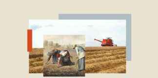 Ancient Gleaning Practice Fighting Modern Food Waste ancient-gleaning-practice-fighting-modern-food-waste