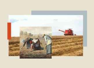 Ancient Gleaning Practice Fighting Modern Food Waste ancient-gleaning-practice-fighting-modern-food-waste