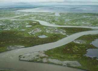 Arctic Carbon Sink: Study Shows One-Third Now Emitting Emissions arctic-carbon-sink-study-shows-one-third-now-emitting-emissions