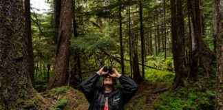 Biden Administration Cancels Controversial Climate Plan Impacting Old Growth Forests biden-administration-cancels-controversial-climate-plan-mpacting-old-growth-forests