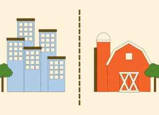 Bridging the Urban-Rural Divide: Turning Fiction into Reality bridging-the-urban-rural-divide-turning-fiction-into-reality