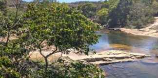 Connecting Brazilian Rainforests: Hidden ‘Highways’ Facilitate Tree Species Dispersal connecting-brazilian-rainforests-hidden-highways-facilitate-tree-species-dispersal