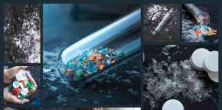 Eco-Friendly Bacteria Engineered to Degrade Microplastics in Wastewater eco-friendly-bacteria-engineered-to-degrade-microplastics-in-wastewater