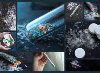 Eco-Friendly Bacteria Engineered to Degrade Microplastics in Wastewater eco-friendly-bacteria-engineered-to-degrade-microplastics-in-wastewater