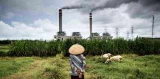 Exploring Sustainable Energy Alternatives in Indonesia: Moving Beyond Coal exploring-sustainable-energy-alternatives-in-ndonesia-moving-beyond-coal