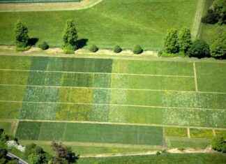 Fertilizer Use Reduces Pollinators by Half: Study Results – Eco-Friendly Gardening Guide fertilizer-use-reduces-pollinators-by-half-study-results-eco-friendly-gardening-guide