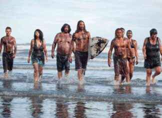 Limited Reduction in New Zealand’s Emissions Expected by 2030-2035 limited-reduction-in-new-zealands-emissions-expected-by-2030-2035