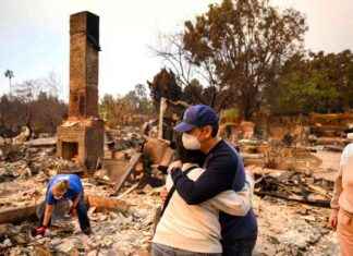Los Angeles Housing Crisis Worsened by City’s Fires – Inside Climate News los-angeles-housing-crisis-worsened-by-citys-fires-nside-climate-news