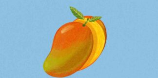 mango-farm-locations-mpacted-by-climate-change-where-are-they