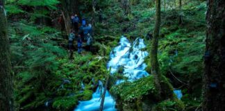 massive-aquifer-found-beneath-oregon-cascades-mountains-eco-friendly-discovery