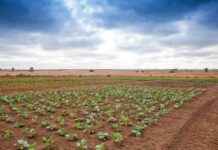 ‘Moonshot Effort to Curb Global Hunger: Nobel and World Food Prize Winners’ moonshot-effort-to-curb-global-hunger-nobel-and-world-food-prize-winners