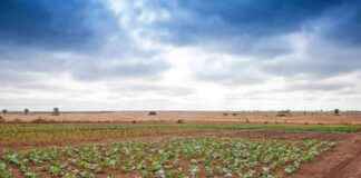 ‘Moonshot Effort to Curb Global Hunger: Nobel and World Food Prize Winners’ moonshot-effort-to-curb-global-hunger-nobel-and-world-food-prize-winners