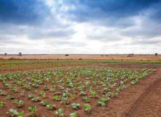 ‘Moonshot Effort to Curb Global Hunger: Nobel and World Food Prize Winners’ moonshot-effort-to-curb-global-hunger-nobel-and-world-food-prize-winners
