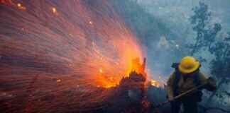 Impact of Climate-Driven ‘Whiplash’ on LA Fires: Human Cost & Consequences mpact-of-climate-driven-whiplash-on-la-fires-human-cost-consequences