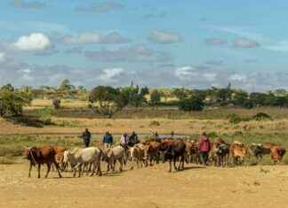 Navigating Challenges: Threats Faced by Pastoralists in a Shrinking World navigating-challenges-threats-faced-by-pastoralists-in-a-shrinking-world