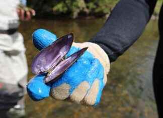 Radium Contamination in Western PA Freshwater Mussels: A Concern for Public Health radium-contamination-in-western-pa-freshwater-mussels-a-concern-for-public-health