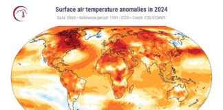 Record-Breaking 2024 Global Average Temperature Hits Above 1.5°C – EcoWatch record-breaking-2024-global-average-temperature-hits-above-15c-ecowatch