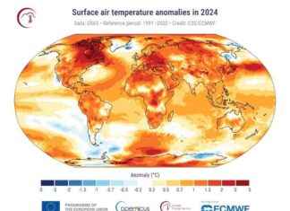 Record-Breaking 2024 Global Average Temperature Hits Above 1.5°C – EcoWatch record-breaking-2024-global-average-temperature-hits-above-15c-ecowatch
