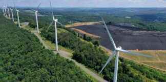 Report Alleges Maryland’s Renewable Energy Program Lacks Wind and Solar report-alleges-marylands-renewable-energy-program-lacks-wind-and-solar