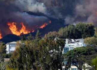 Rising Frequency of ‘Weather Whiplash’ Behind Los Angeles Fires rising-frequency-of-weather-whiplash-behind-los-angeles-fires
