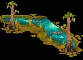 Is Florida’s Water Supply Ready for the Influx of New Residents? s-floridas-water-supply-ready-for-the-nflux-of-new-residents