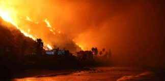 Southern California Wildfires Force Tens of Thousands to Evacuate – EcoWatch southern-california-wildfires-force-tens-of-thousands-to-evacuate-ecowatch