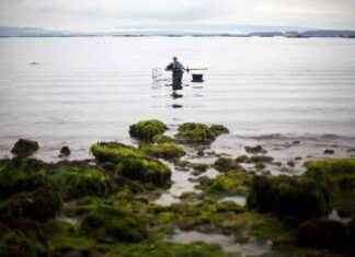 Spanish Fishers in Galicia: Shellfish Stocks Collapse from Climate Change spanish-fishers-in-galicia-shellfish-stocks-collapse-from-climate-change