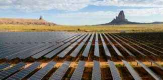 States’ Ongoing Fight for Climate Progress Despite Trump Administration: A Look Ahead states-ongoing-fight-for-climate-progress-despite-trump-administration-a-look-ahead