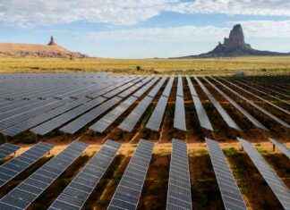 States’ Ongoing Fight for Climate Progress Despite Trump Administration: A Look Ahead states-ongoing-fight-for-climate-progress-despite-trump-administration-a-look-ahead