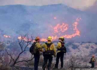 The Impact of Climate Change on Los Angeles Fires: Insights from Scientists the-mpact-of-climate-change-on-los-angeles-fires-nsights-from-scientists
