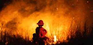 The Impact of Climate Change on Urban Areas: Why Every City is at Risk the-mpact-of-climate-change-on-urban-areas-why-every-city-is-at-risk